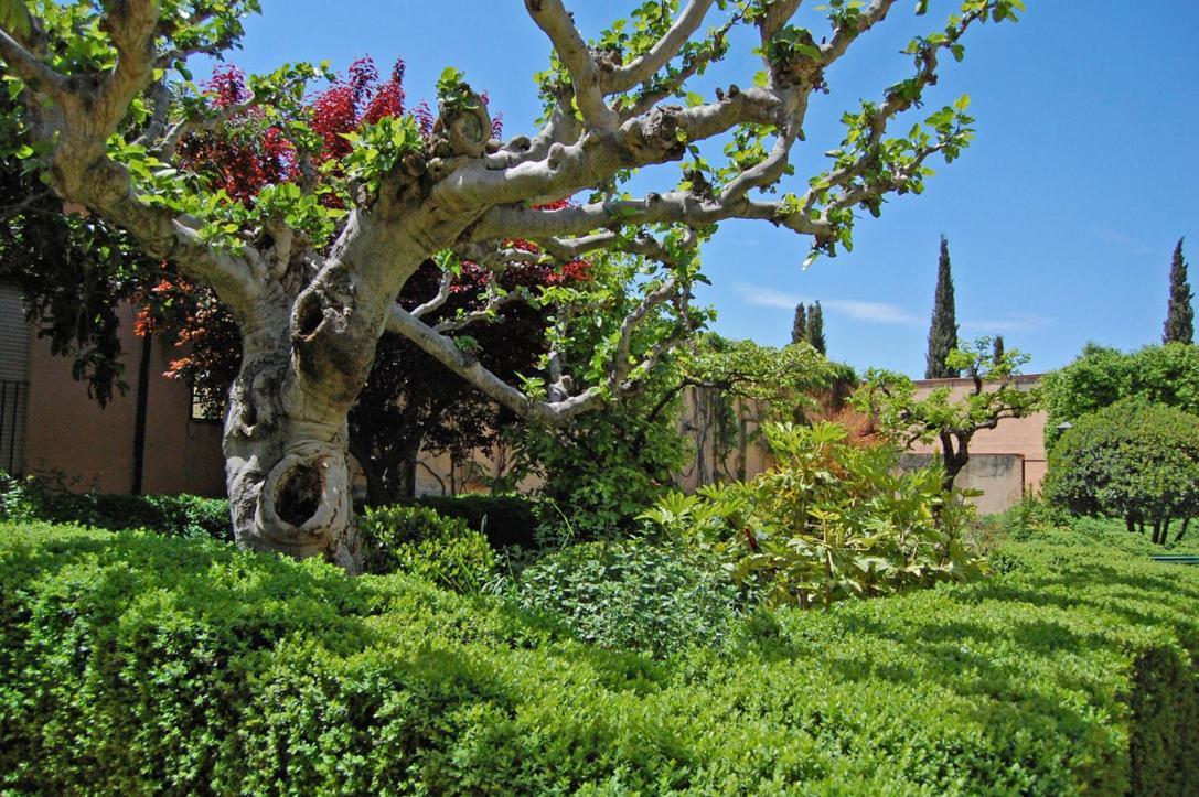 Un Vergel Al Pie De La Alhambra. Enjoy It Now!! Granada Luaran gambar